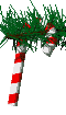 caneclr.gif