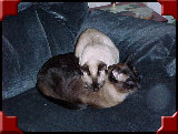 xmas044.jpg